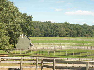 Horse Farm - Tewksbury
